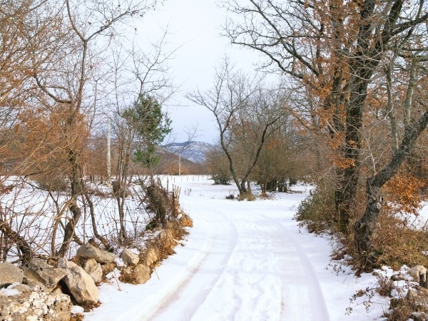 Sarajevo Winter Roads