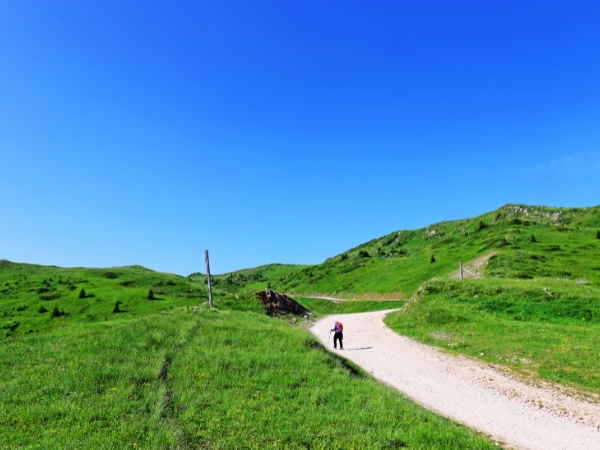 Driving to Jahorina Mountain from Sarajevo: A Visitors Guide